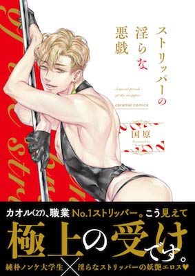 Stripper no Midarana Itazura cover image